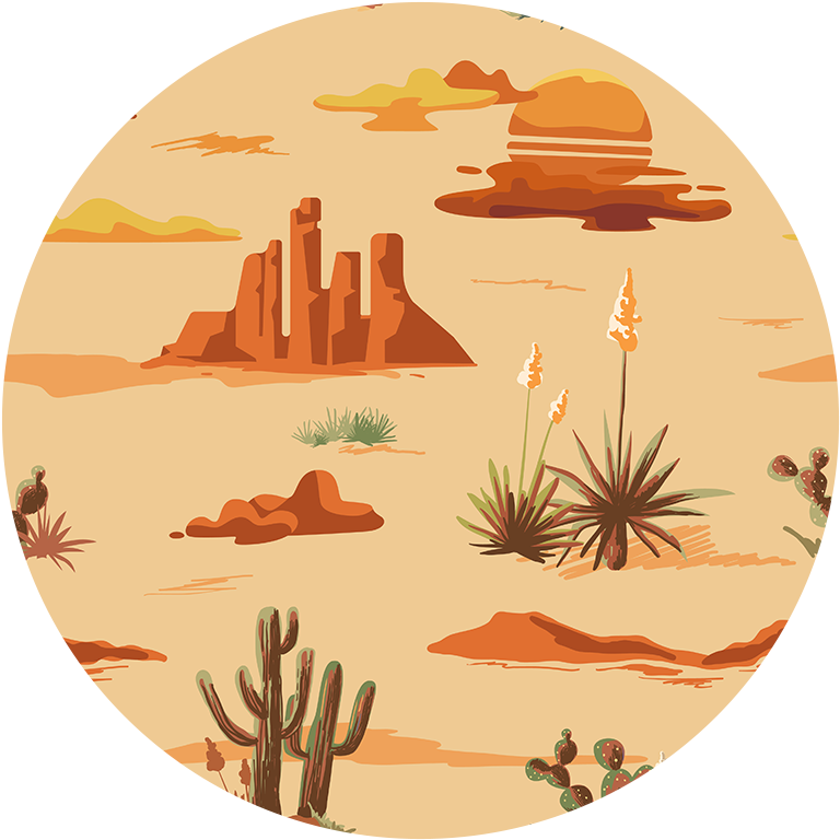 Western Car Coasters