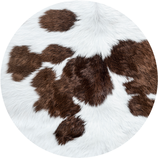 Western Car Coasters