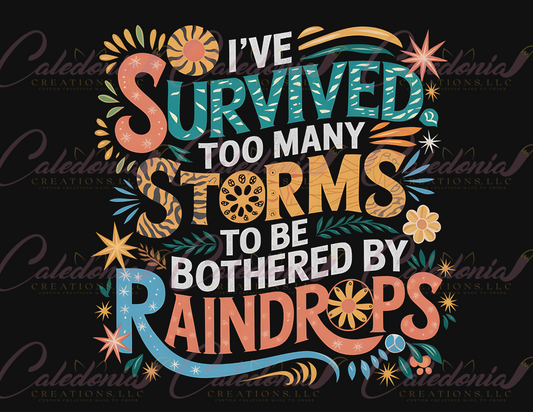 "Too Many Storms to Be Bothered By Raindrops" T-Shirt