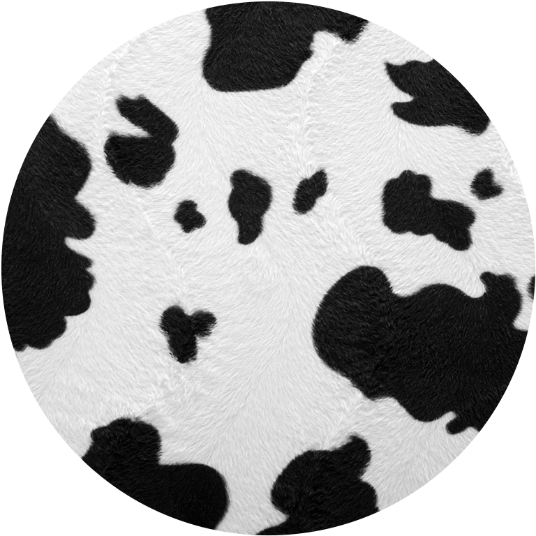 Western Car Coasters